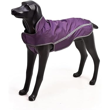 Amazon.co.jp 人気ギフトランキング: 犬用レインコート・ライフ